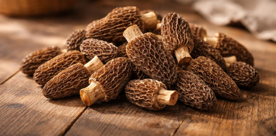 Buy Dried Morels Online for Gourmet Cooking and Flavor