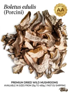 dried-boletus-edulis-cepes-steinpilze-mushrooms-premium