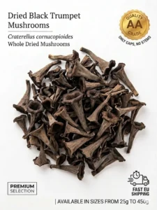dried-horn-of-plenty-black-trumpet-mushrooms.jpg