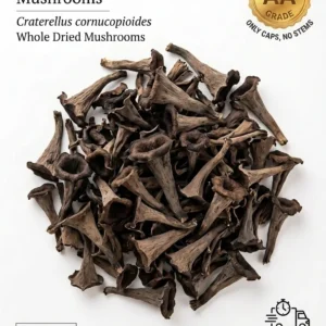 Premium Dried Black Trumpet Mushroom (Craterellus cornucopioides) – Wild Harvested