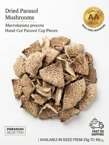 dried-parasol-mushroom-slices-premium-quality.jpg