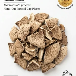 Premium Dried Parasol Mushroom Slices (Macrolepiota procera) – Exclusive Caps Only