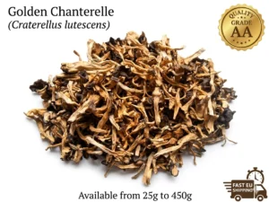 dried-yellow-foot-chanterelle-mushrooms