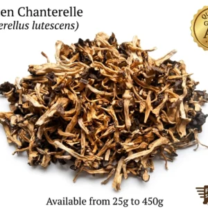 Premium Dried Yellow Foot Chanterelle (Craterellus lutescens) – Wild Harvested