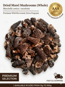 premium-dried-morel-mushrooms-gourmet-selection