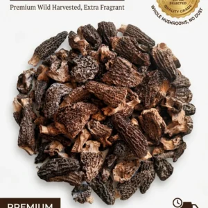 Premium Dried Morel Mushrooms (Morchella conica) – Wild Harvested