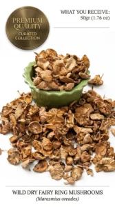 wild-scotch-bonnet