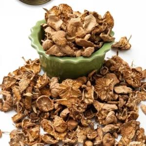 Wild Scotch Bonnet Mushrooms (Fairy Ring) – Premium Dried Selection