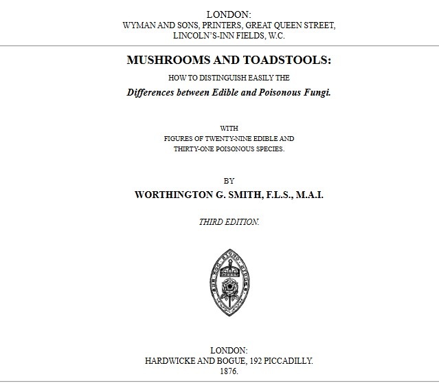 Mushroom and Toadstools by Worthington George Smith - Image 2