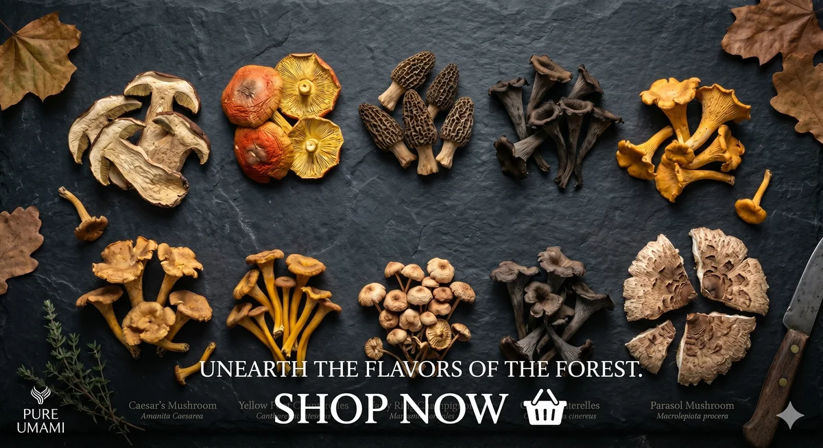 Pure Umami Wild Mushrooms Selection