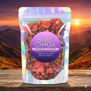 Berry Chaga Tea • Wildcrafted Chaga Mushroom, Hibiscus, Rose Hips & Mixed Berries • Loose Leaf Botanical Blend