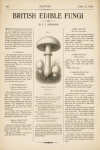 British Edible Fungi (1870) By C. J. Robinson