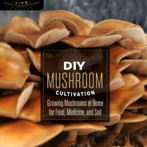 DIY Mushroom Cultivation Growing Mushrooms at Home for Food, Medicine, and Soil