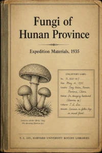Fungi of Hunan Province (1935) By T. L. Liu