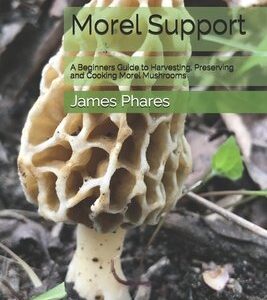 Morel Support A Beginners Guide To Harvesting, Preserving And Cooking Morel Mushrooms