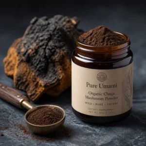 Organic Chaga Powder, 100% Inonotus obliquus, , European Wild Collected Chaga Mushroom, All-Natural BIO Chaga, non-GMO Wild Chaga mushroom