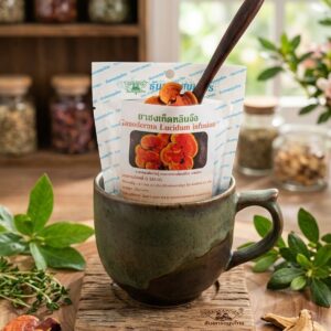 Organic Reishi Mushroom Tea – Lingzhi - Ganoderma Lucidum Herbal Infusion - (20 Sachets)