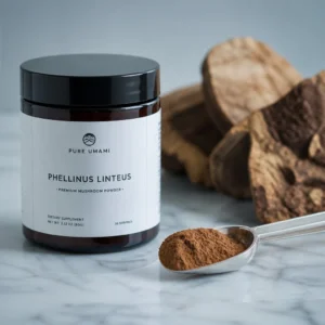 Phellinus Linteus Mushroom Powder | 100% Pure Song Huang Powder | Dried Mushroom Powder